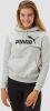 Puma essentials big logo fleece trui grijs dames online kopen